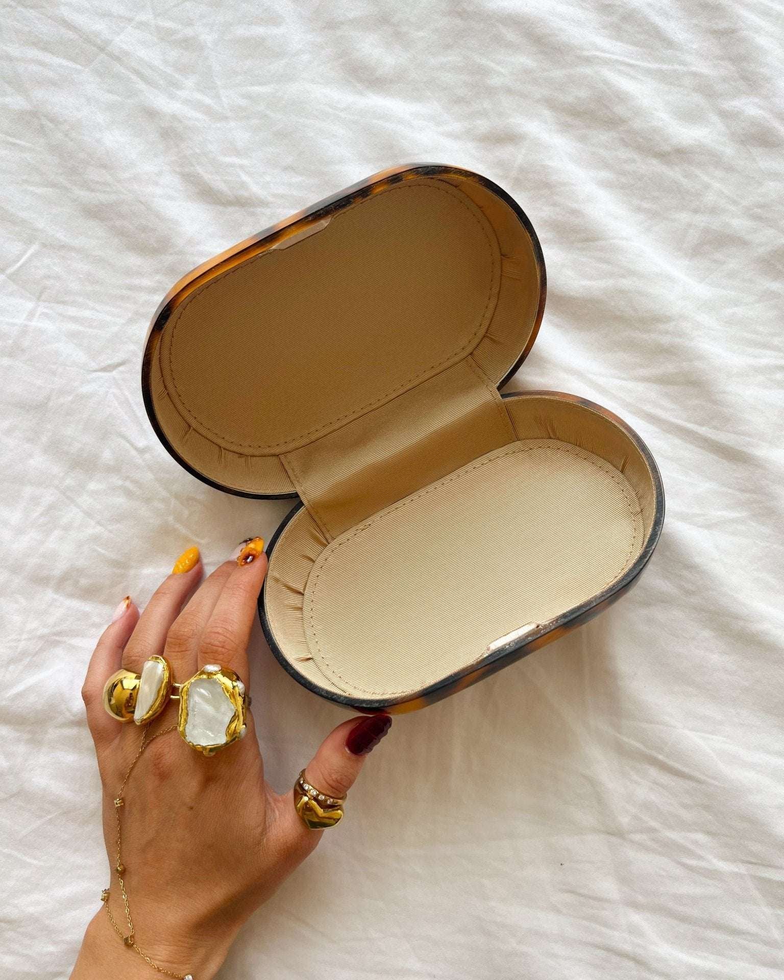 THE SCANDIVV CASE - scandivv